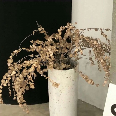 兽设黎明场景创作福瑞群